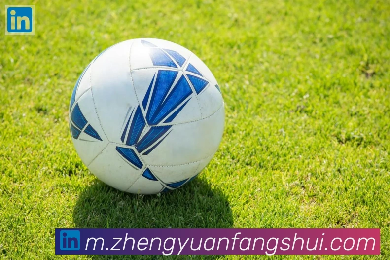 华体育app官网登录入口平台生态图