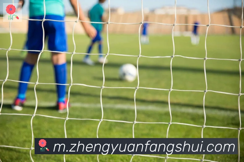 华体育app官网登录入口荣誉