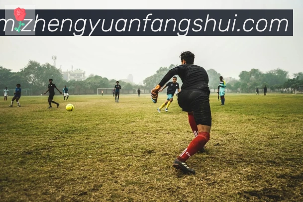 华体育app官网登录入口荣誉