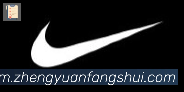 华体育app官网登录入口合作伙伴